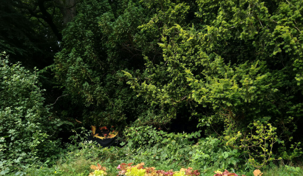 Marie Søndergaard Lolk and Nanna Abell: Idiosyncrasy Rhododendron vulgaris, �2021 at
Of gardens, Regstruplund og Instagram (@idiodendron)